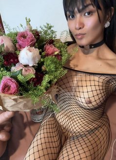 Khim - Transsexual escort in Geneva Photo 5 of 8