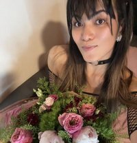 Ts Khim - Transsexual escort in Geneva