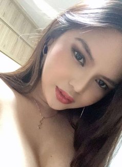 Khim Shemale - Transsexual escort in Manila Photo 15 of 22
