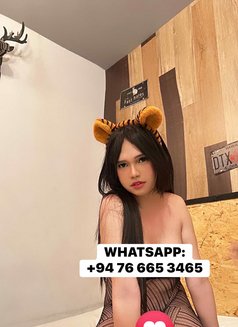 Khimmy - Acompañantes transexual in Colombo Photo 3 of 7