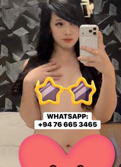 Khimmy - Acompañantes transexual in Colombo Photo 5 of 7