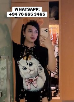 Khimmy - Acompañantes transexual in Colombo Photo 7 of 7