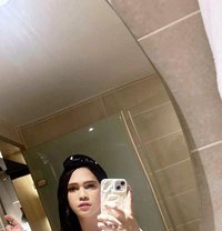 Khimmy - Acompañantes transexual in Singapore