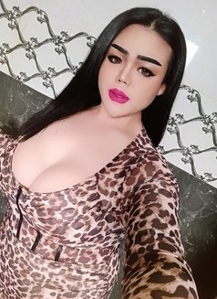 khloe VIP🇹🇭 - Transsexual escort in Muscat Photo 6 of 6