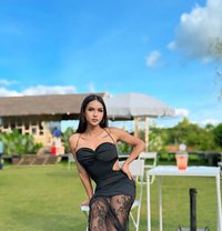 Khobar 1-18 November only - Transsexual escort in Dammam