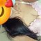 Khushi Cam Specialist - escort in New Delhi Photo 4 of 9