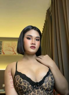 Ki Ki Lady Boy Thailand 🇹🇭 - masseuse in Georgetown, Penang Photo 5 of 6