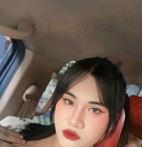 Ki Ki Lady Boy Thailand 🇹🇭 - masseuse in Riyadh