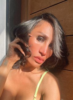 Kiara - Transsexual companion in Bali Photo 9 of 10