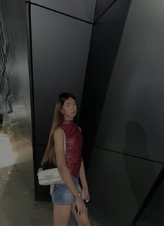 Kiara Cam & Meet - Transsexual escort in Manila Photo 1 of 5