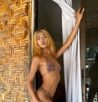 Sweetcandy - Transsexual escort in Cebu City