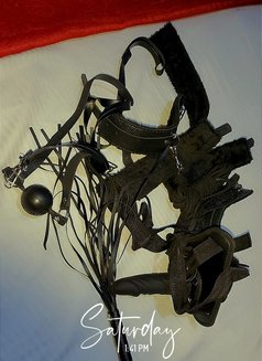 Kiara Incall and Outcall - escort in Nairobi Photo 4 of 5