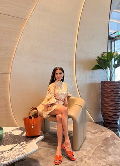 KIARA LEE : THE QUEEN IS BACK! - Transsexual escort in Dubai Photo 4 of 5