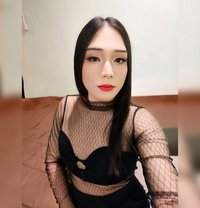 Kibcy - Acompañantes transexual in Phuket