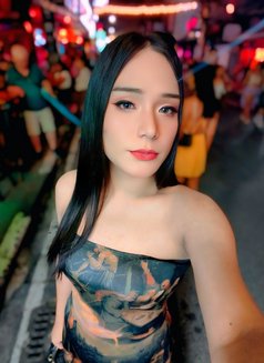 Kibcy - Transsexual escort in Phuket Photo 7 of 7