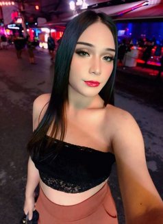 Kibcyz - Transsexual escort agency in Phuket Photo 1 of 3