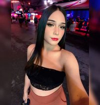 Kibcyz - Transsexual escort agency in Phuket