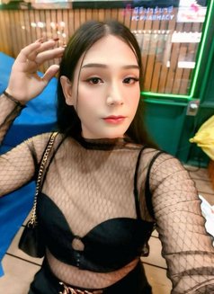 Kibcyz - Transsexual escort agency in Phuket Photo 2 of 3