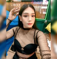 Kibcyz - Transsexual escort agency in Phuket