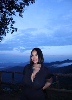 KiKi BABY Girl 🤍 chatan - escort in Okinawa Island Photo 15 of 17