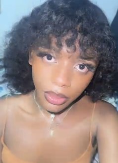 Kiki - Transsexual escort in Nairobi Photo 13 of 19