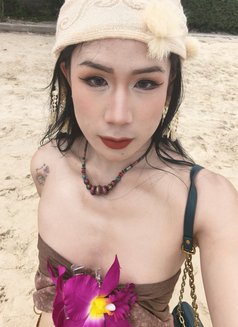 Kiki Ladyboy Thailand - Transsexual escort in Bangkok Photo 4 of 4