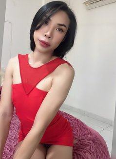 Kiki massage - Transsexual escort in Muscat Photo 10 of 11