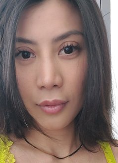 Kiki Thailand 🇹🇭 - escort in Okinawa Island Photo 17 of 20