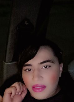 Kiki1212 - Transsexual escort in Algiers Photo 1 of 8
