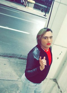 Kiki1212 - Transsexual escort in Algiers Photo 8 of 8