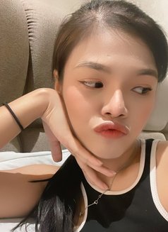 Kikies 🇹🇭 New in Riyadh - escort in Riyadh Photo 3 of 7