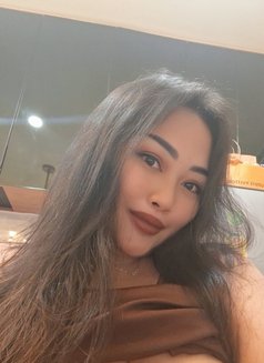 Kikik Sucking Good - escort in Bangkok Photo 15 of 22