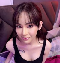 kim - Acompañantes transexual in Abu Dhabi
