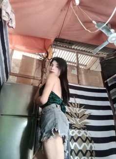 Kim - Transsexual escort in Cebu City Photo 1 of 1