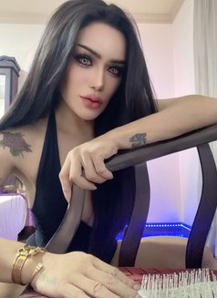 KIM Kimberry_strong Dick &Clean - Transsexual escort in Al Manama Photo 6 of 12