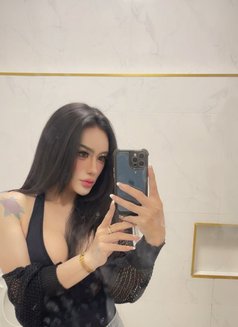 KIM Kimberry_strong Dick &Clean - Transsexual escort in Al Manama Photo 10 of 12