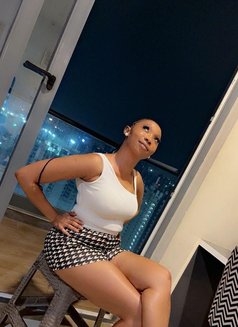 Kim New Arrival Wet Pussy - escort in Noida Photo 1 of 4