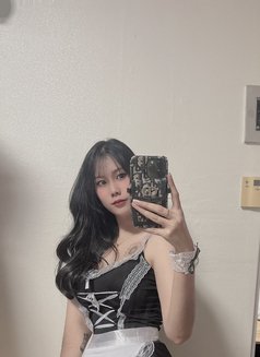 Kim Sujie - escort in Singapore Photo 7 of 8