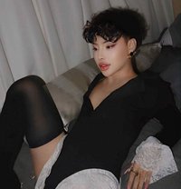 Kim - Acompañantes transexual in Bangkok