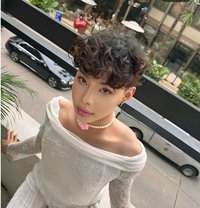 Kim - Acompañantes transexual in Bangkok