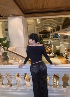 Kim - Transsexual escort in Bangkok Photo 4 of 6