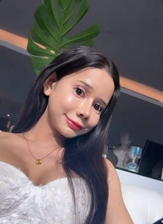 Baby Kim🫦 - Transsexual escort in Bangkok Photo 1 of 1