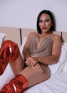 Kim - Transsexual escort in Pattaya Photo 15 of 17