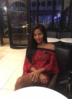 Kim Thai X, Big C Top - Transsexual escort in Bangkok Photo 5 of 5