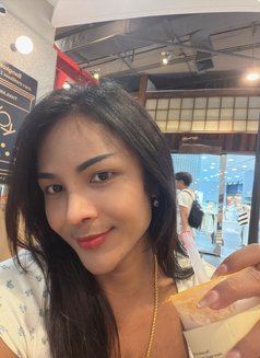 Kim Thai X, Big C Top - Transsexual escort in Bangkok Photo 7 of 7