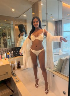 Kim Thai X, Big C Top - Transsexual escort in Bangkok Photo 8 of 8