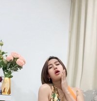 Kim - Young TS from Philippines - Transsexual escort in Singapore