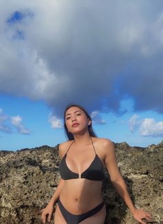 Kimberly - Transsexual escort in Manila Photo 2 of 13