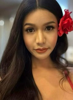 Kimberly - puta in Ko Samui Photo 10 of 10