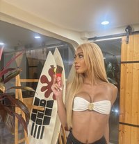 Kimberly - Transsexual escort in Phuket